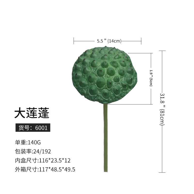 6001大蓮蓬(192枝から予約)