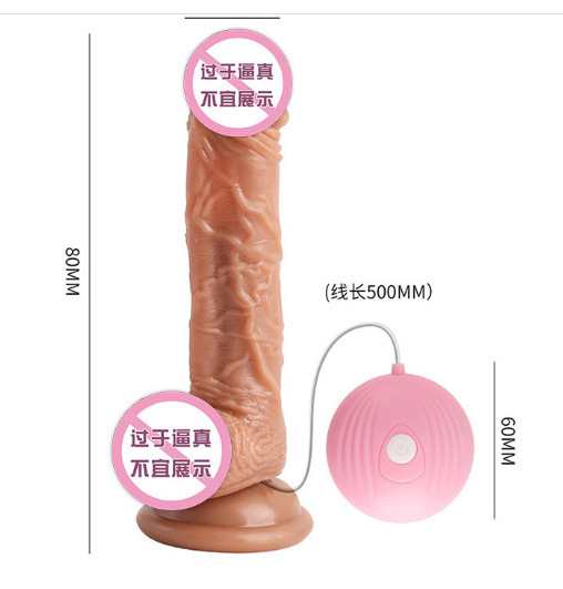 デイビッドのペニス (セクション 2 No. 7) 6970556030094