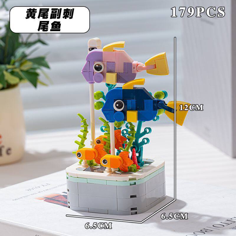 黄尾副刺尾魚鉢植え179粒 (カラーボックス)