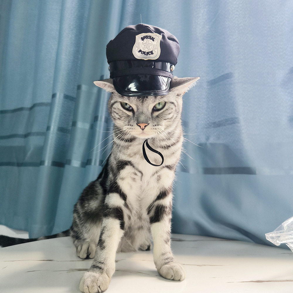 ブラックキャップb05106