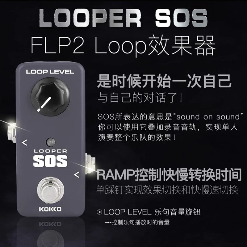 FLP2 LOOP