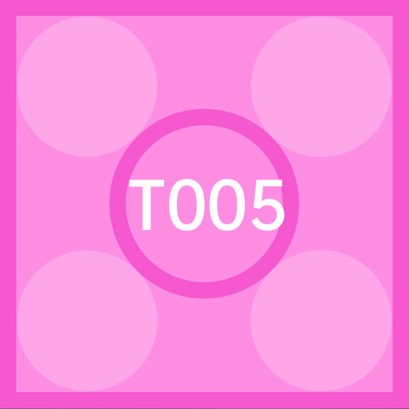 T005