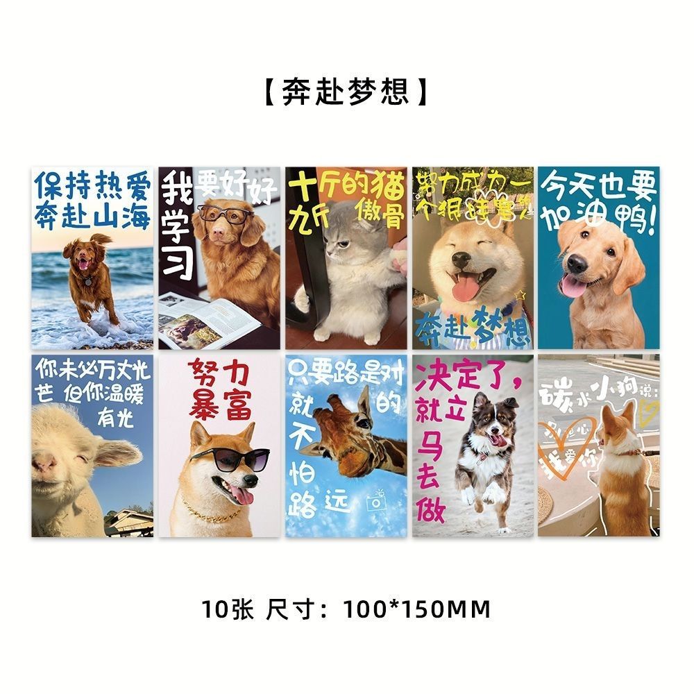 QH133 夢に向かって走る-10枚