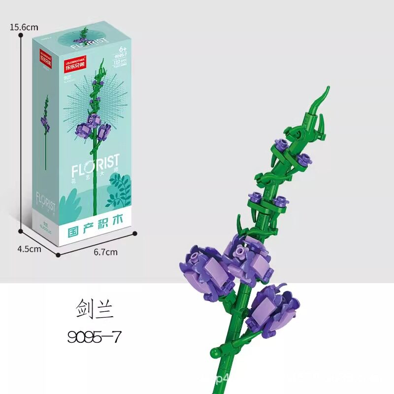 9095-7 グラジオラス