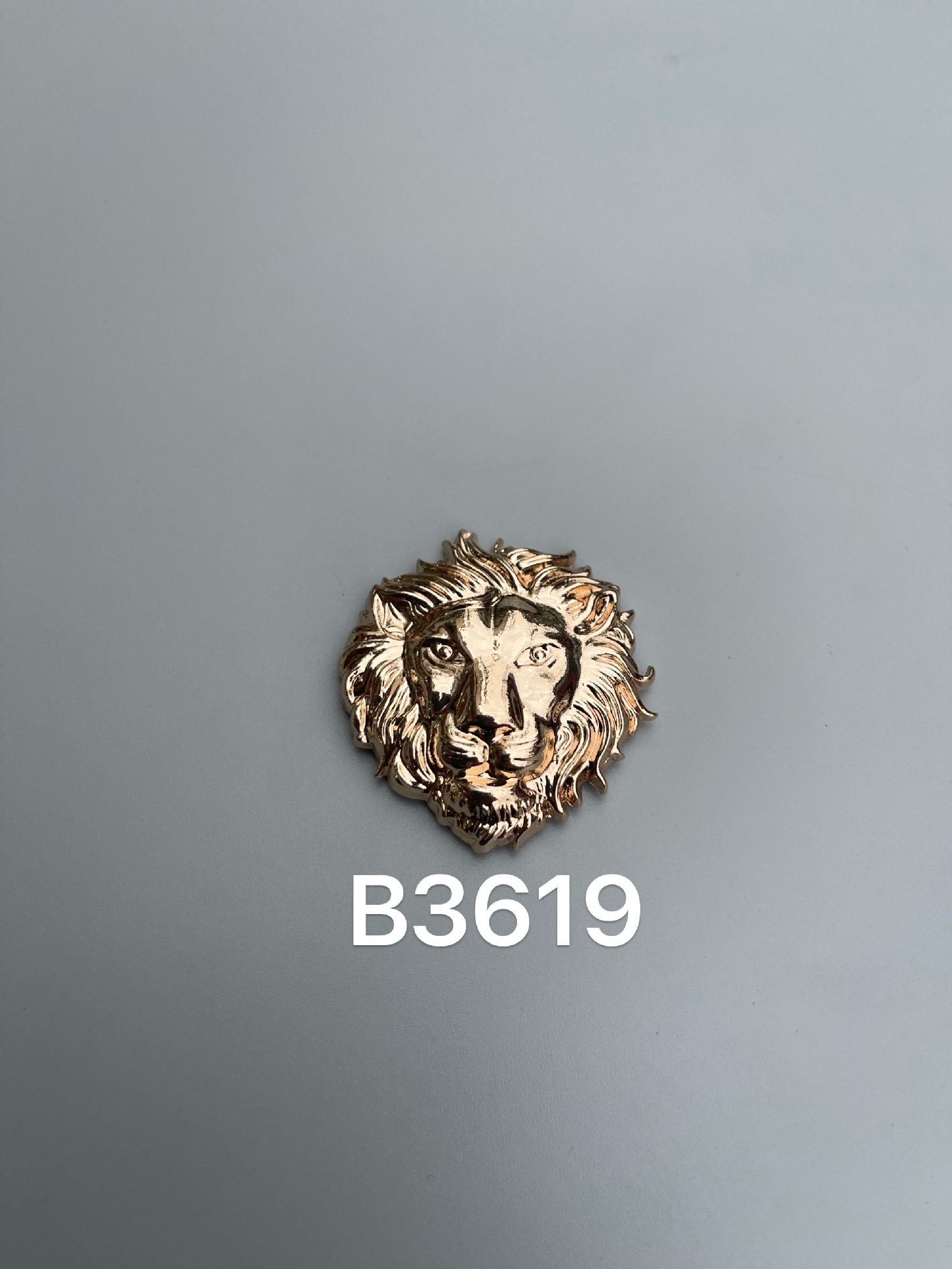 B3619