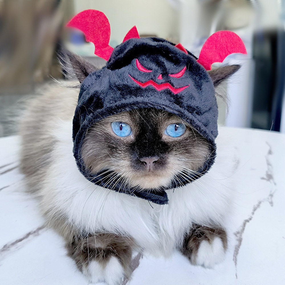 B04404 小悪魔ブラック