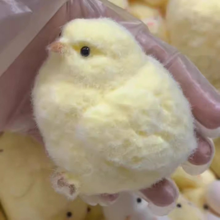 大きなチンポ✺