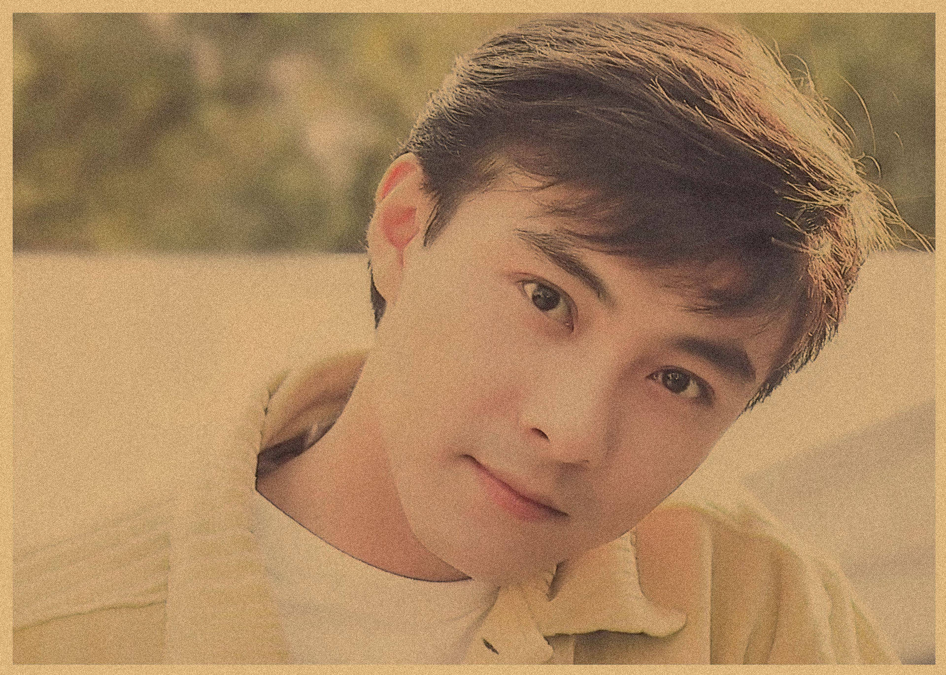 薄い茶色の張衛健2