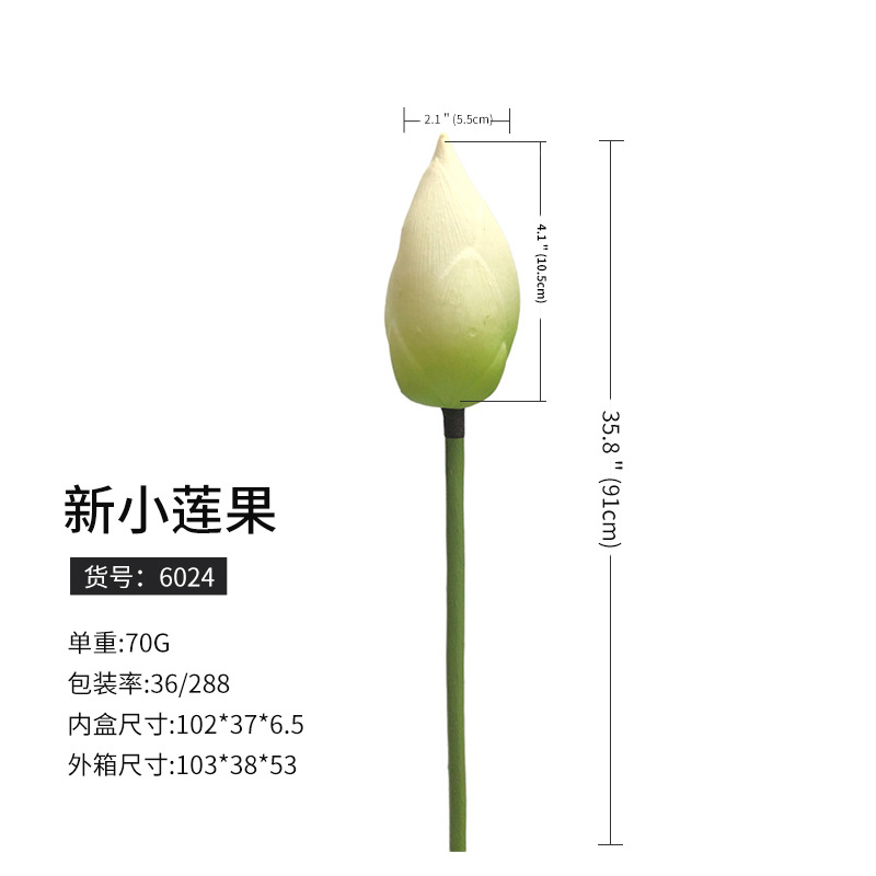 6024新小蓮果(288枝から注文)