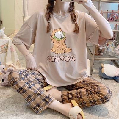 CP-杏加菲猫
