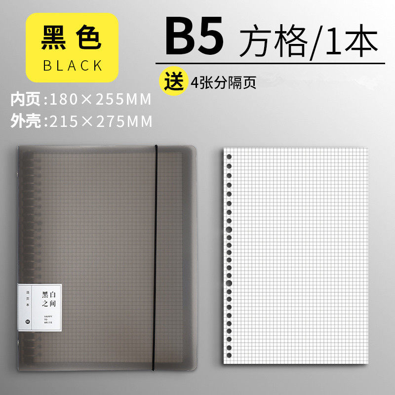 B 5-ブラックシェル【メッシュ替芯1 + 仕切ページ】