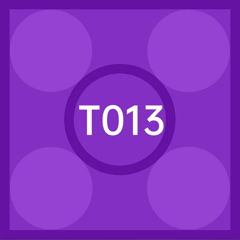 T013