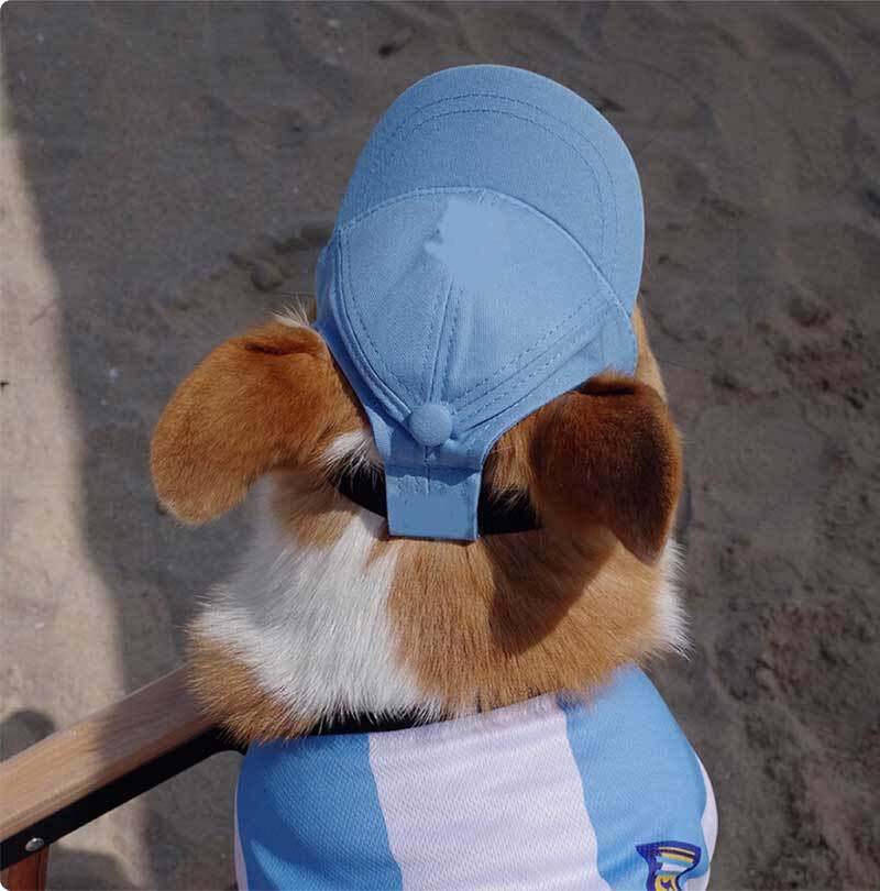 クリームブルーのペットベースボールキャップ