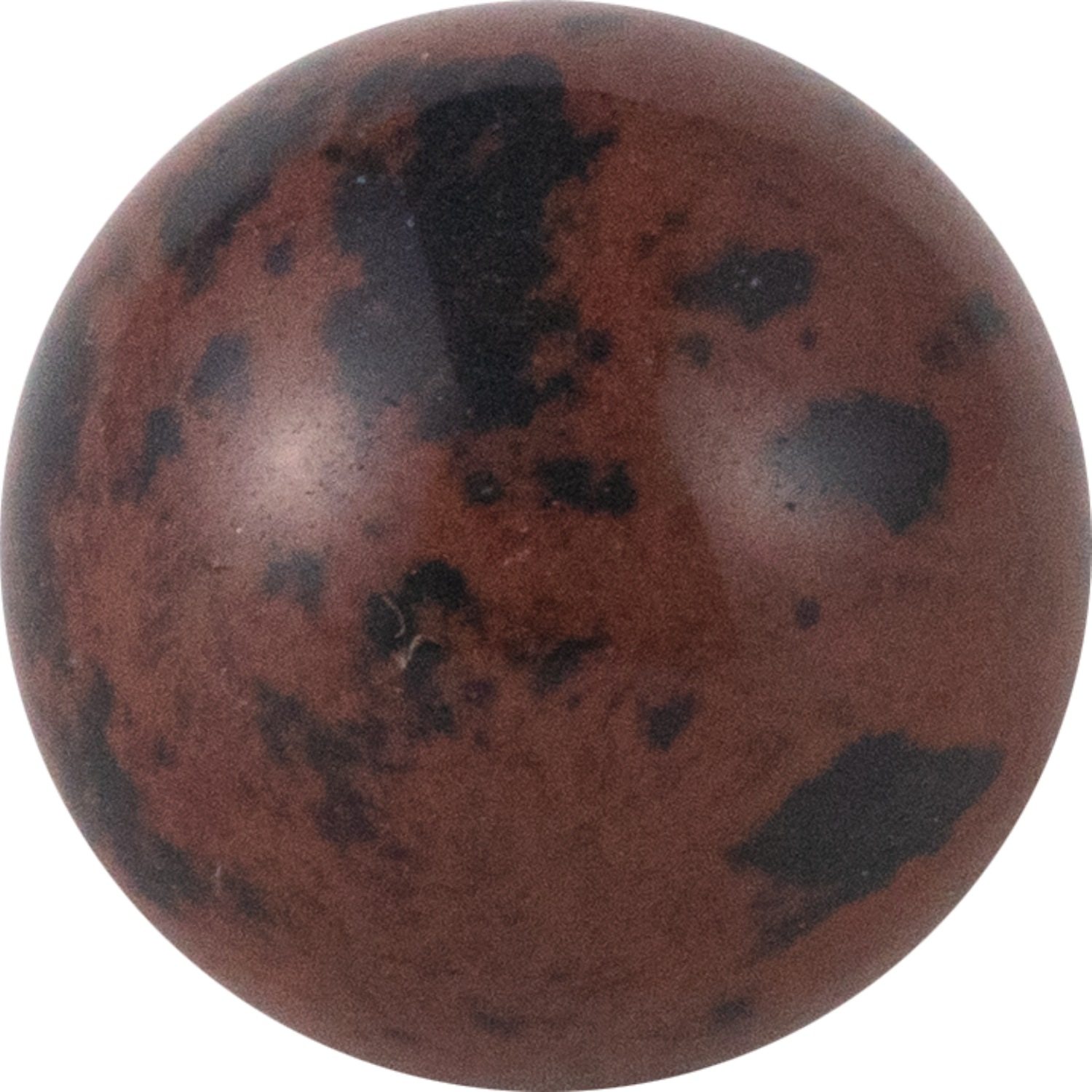 天然ゴールドスワン