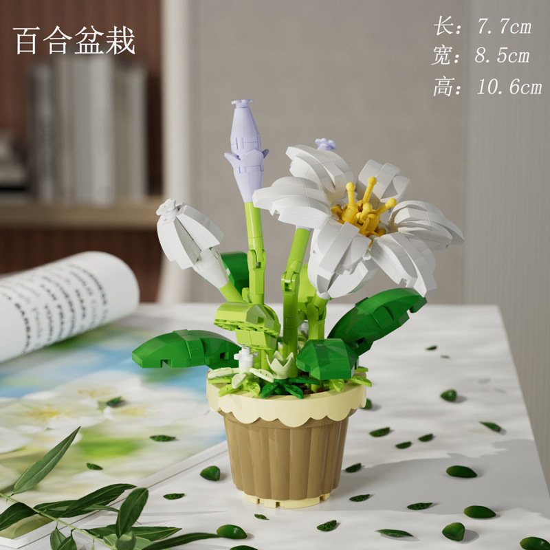 百合盆栽【260PCSカラーボックス】