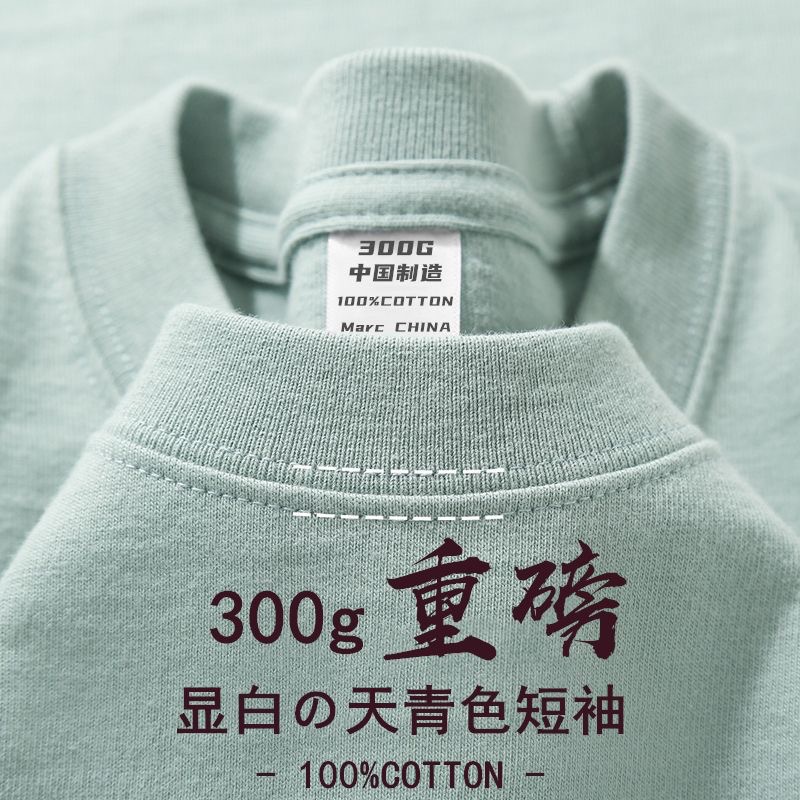 スカイブルー【300g重ポンド】