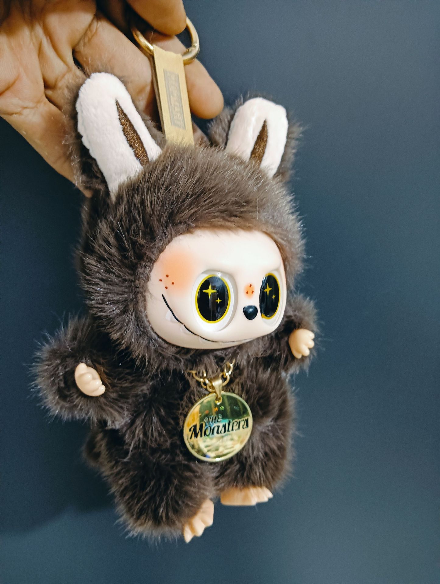 茶色の小さなリーダー