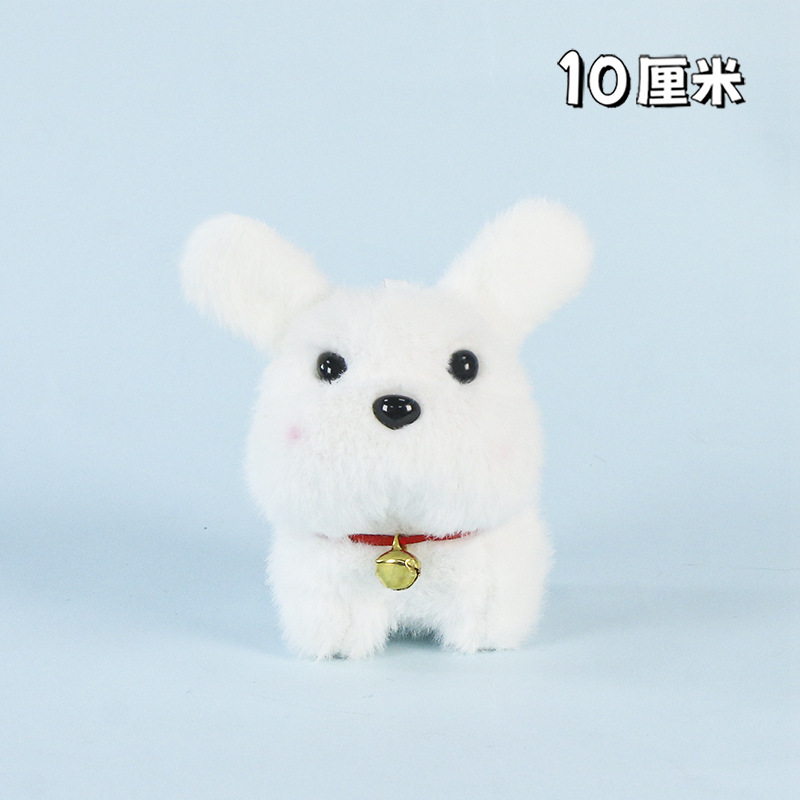 ベル付きの白い犬