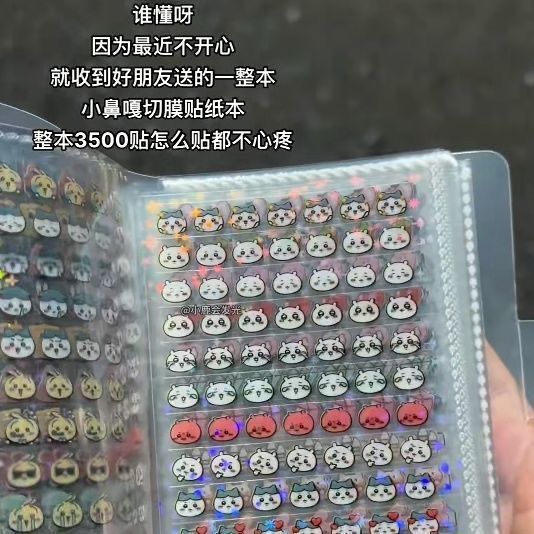 ストレージカードブック