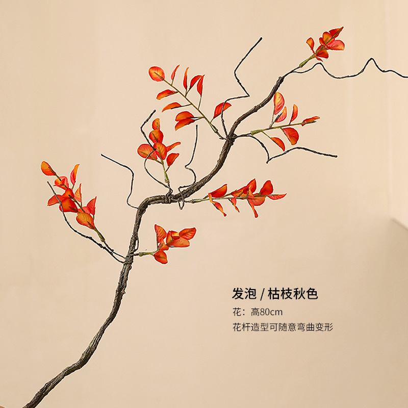 枯れ枝秋色