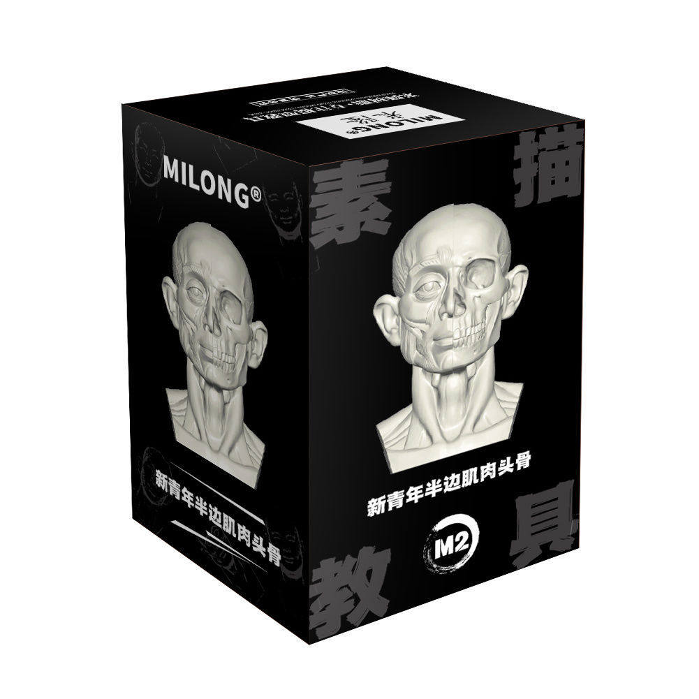 M2新青年筋肉頭蓋骨
