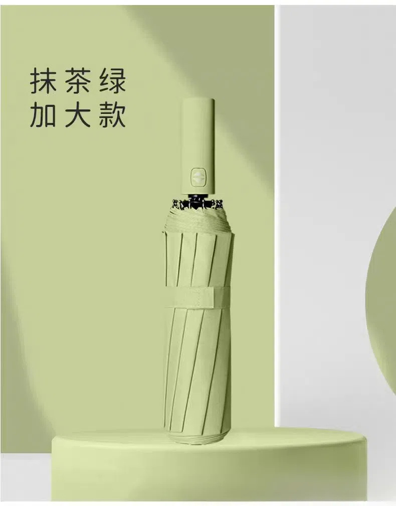 12K厚ビニール自動傘 抹茶グリーン