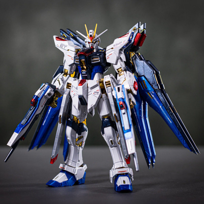 モデルのみ - ストライクフリーダム - 翼 - 武器 + スタンド