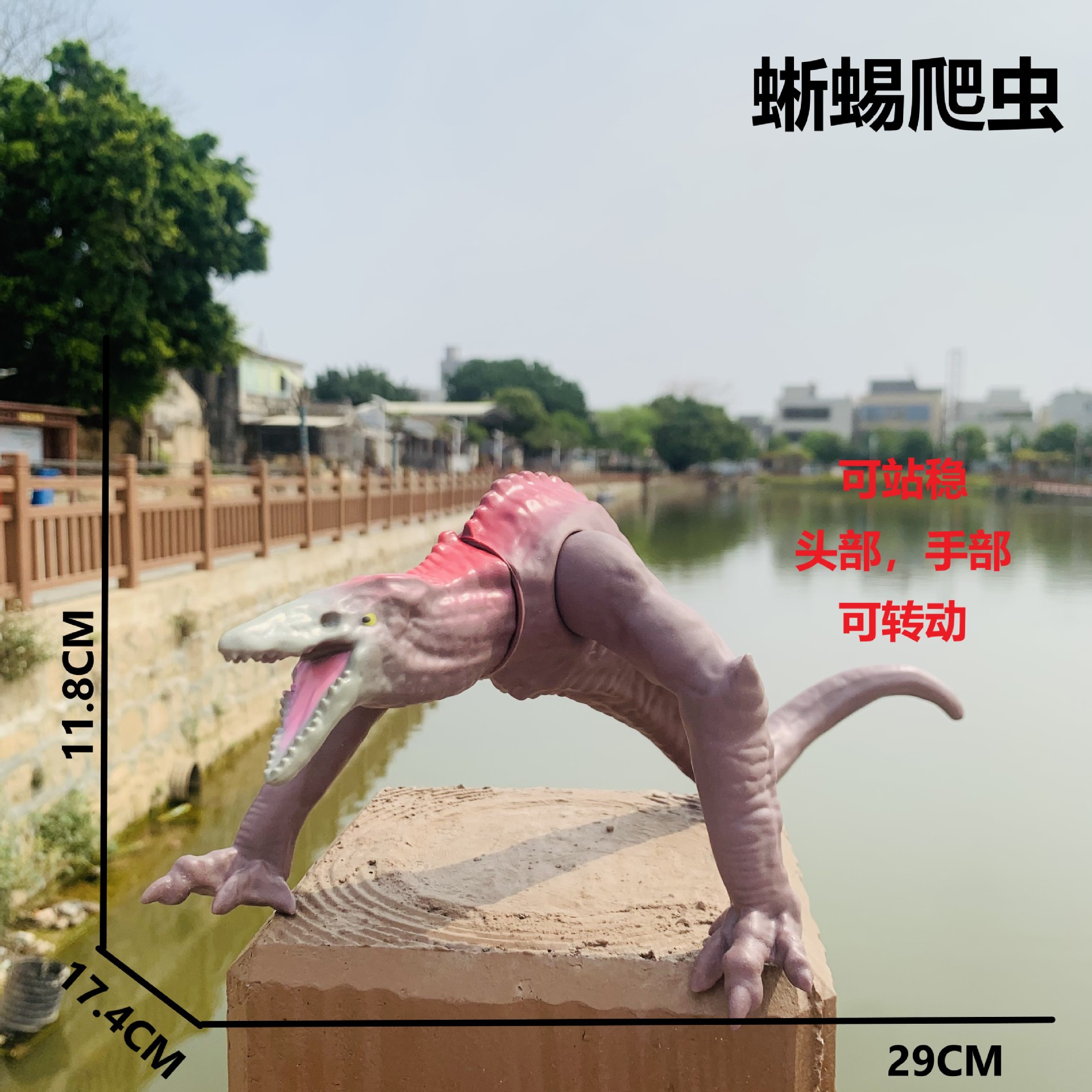 大頭蓋骨トカゲ爬虫類