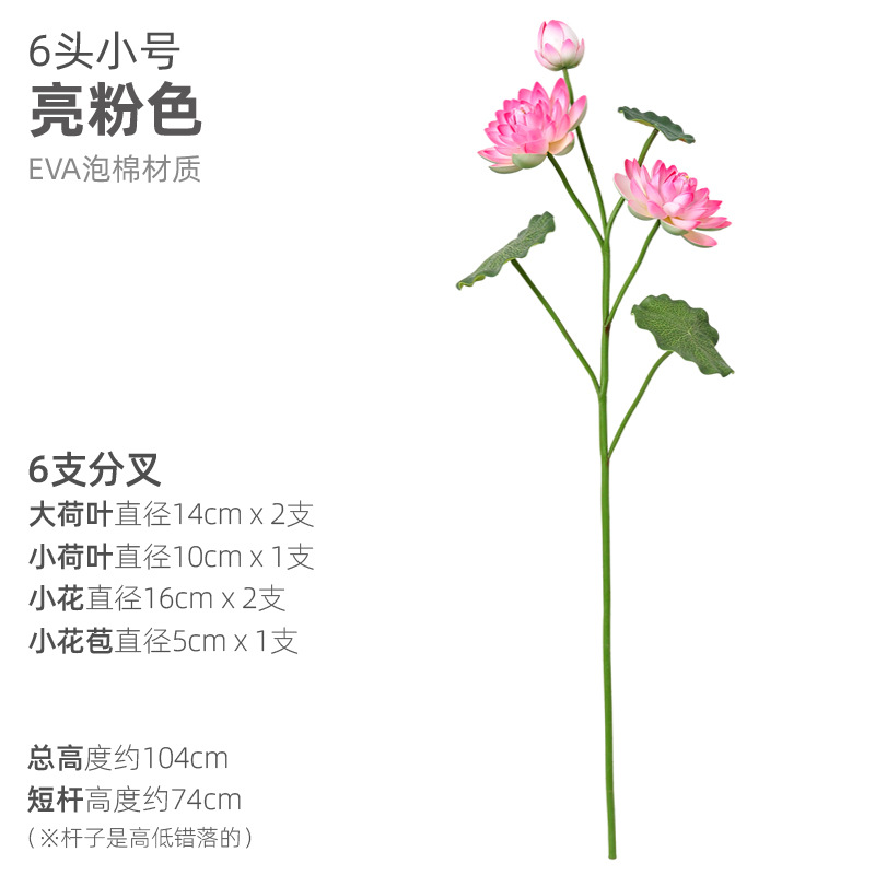 6頭の小さいサイズの明るい粉
