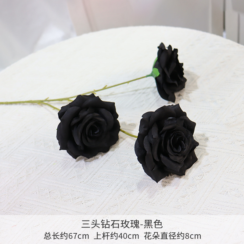 黒い三頭ダイヤモンドのバラ