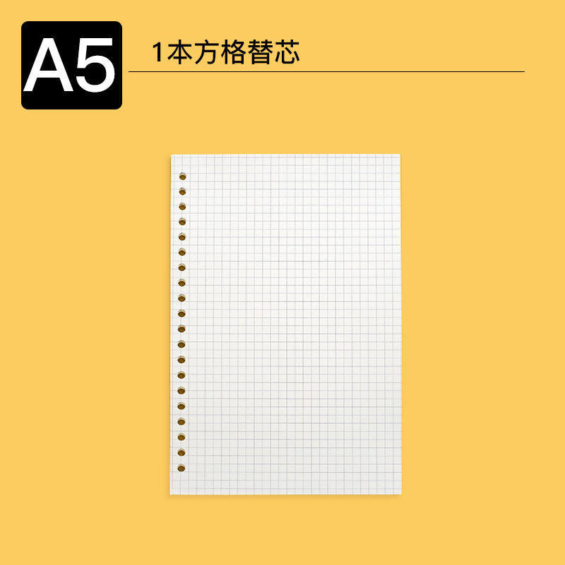 A5メッシュ【替芯60枚】