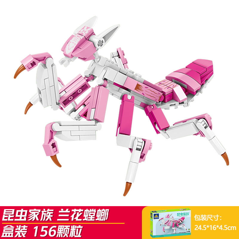 ランカマキリ (開智80056-2)