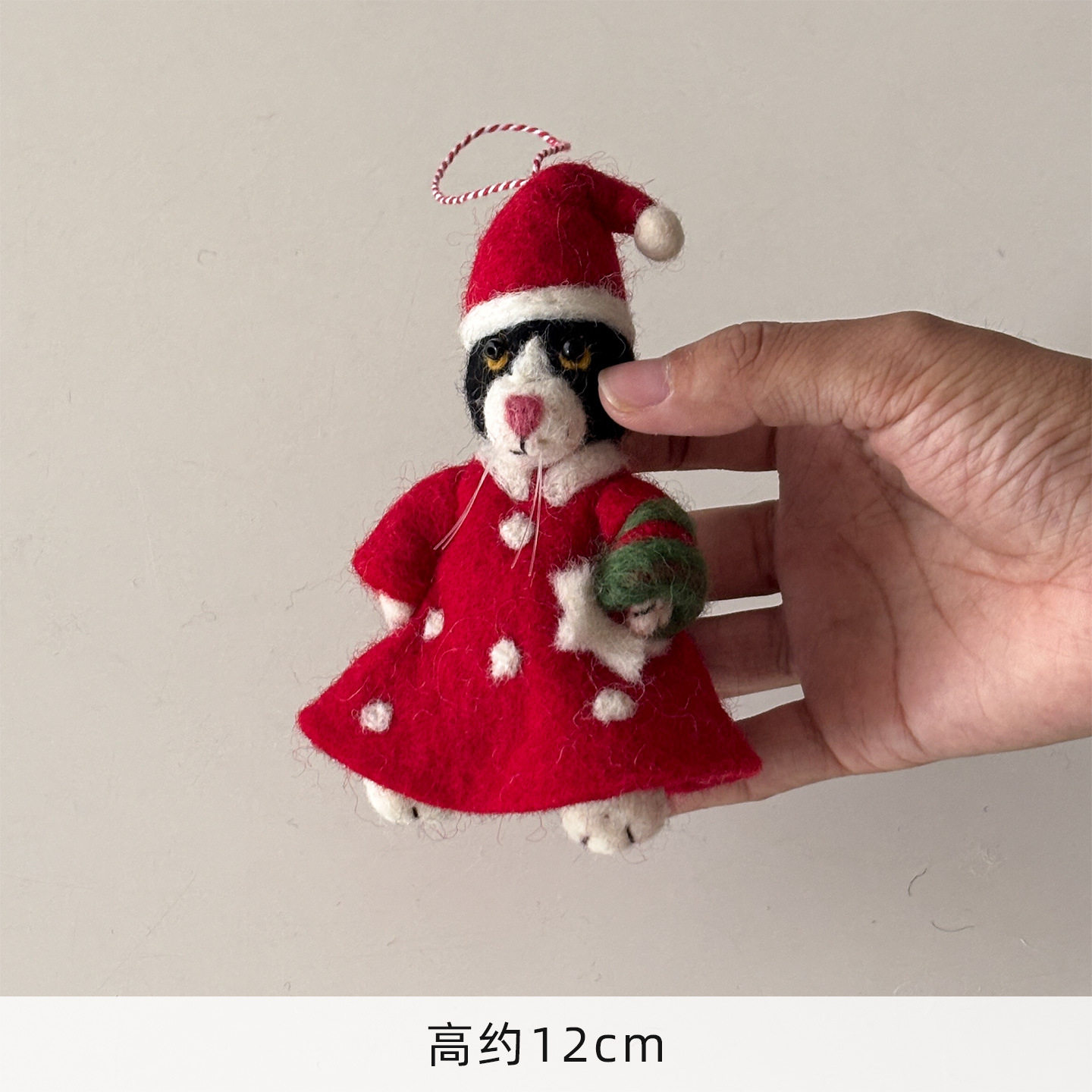 黒猫の赤いスカートとクリスマス帽子
