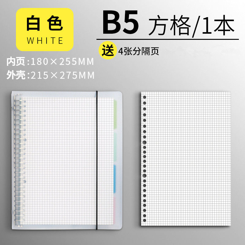 B 5-ホワイトシェル【メッシュ替芯1 + 仕切ページ】