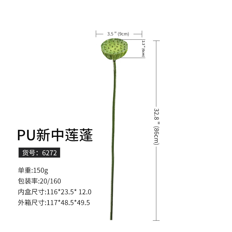 6272 pu新中蓮蓬(160枝から予約)