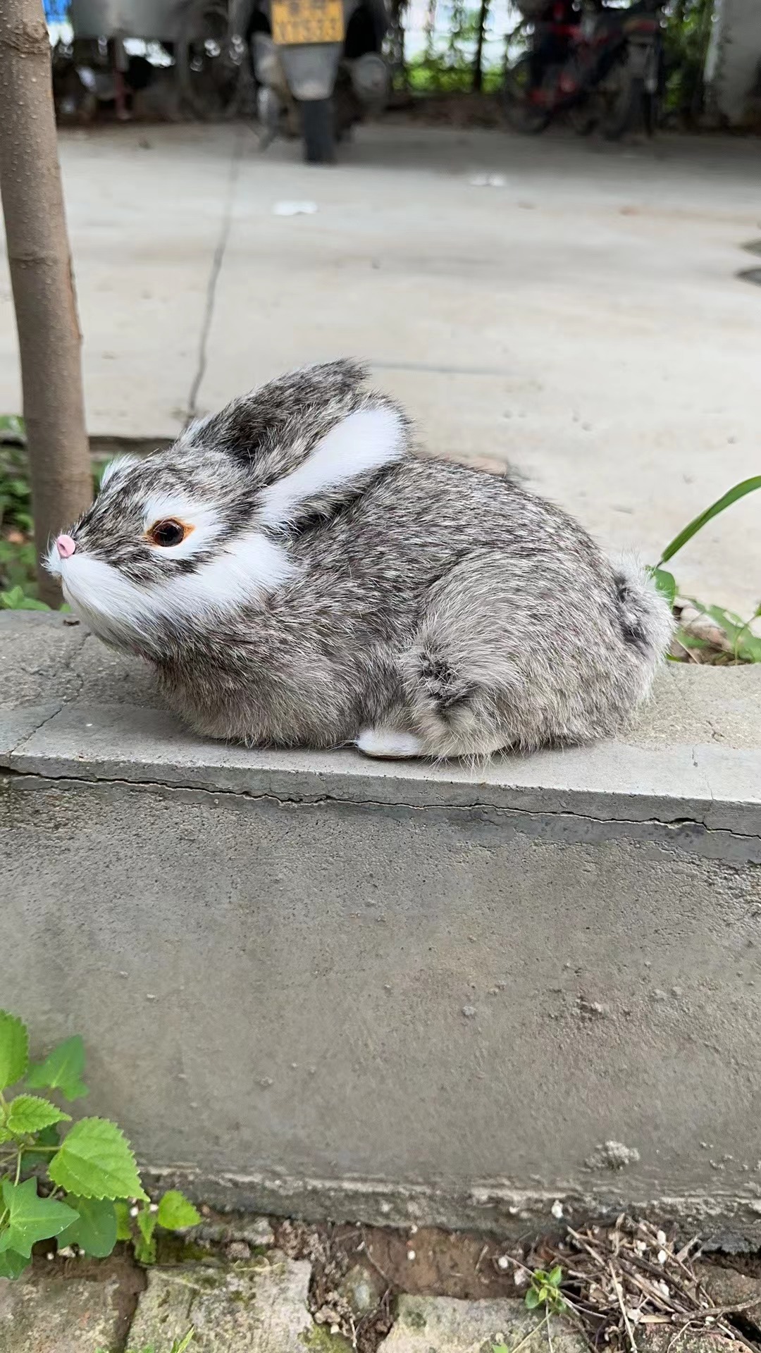 25*13*14グレーウサギ