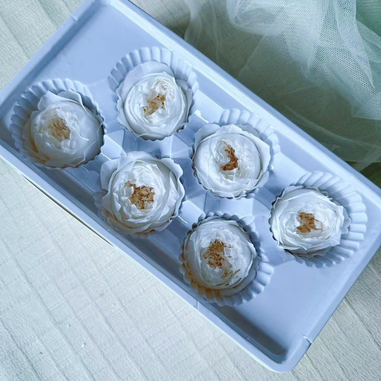 ホワイト 6 オースティン 4-5CM