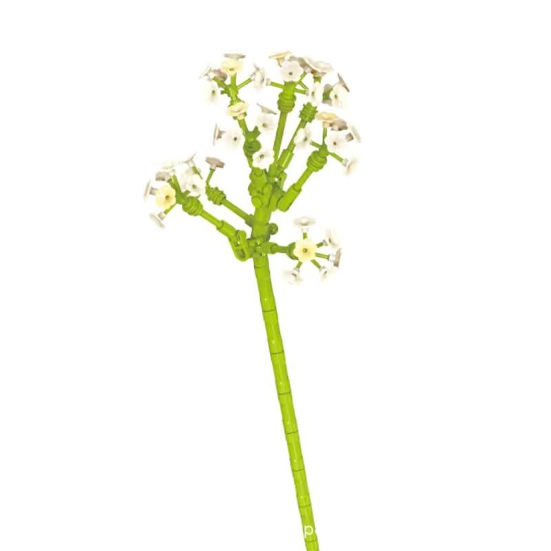 JK26211 カスミソウ(秋露白)