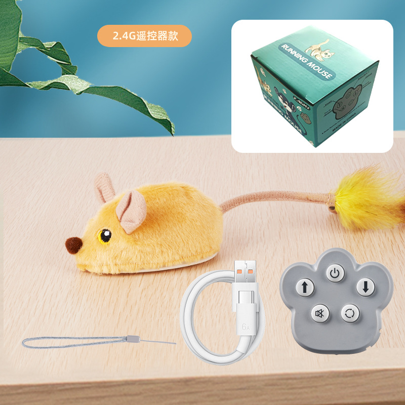 2.4Gリモコン版ビッグリス（英語カラーボックス）