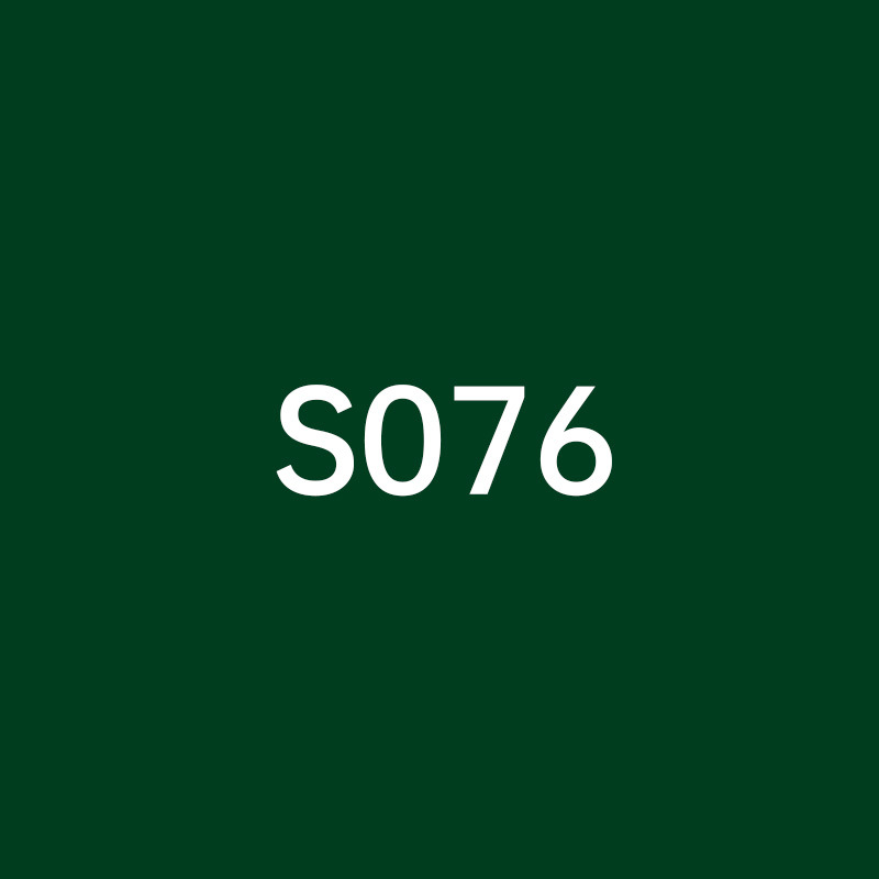 S076