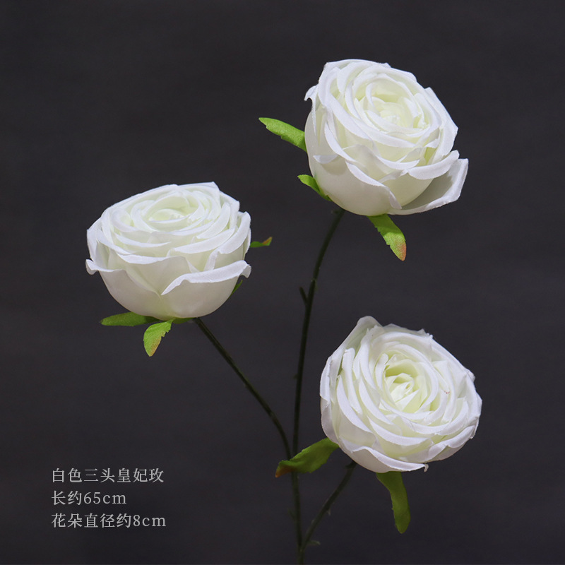 白い三頭の皇妃の薔薇の一本