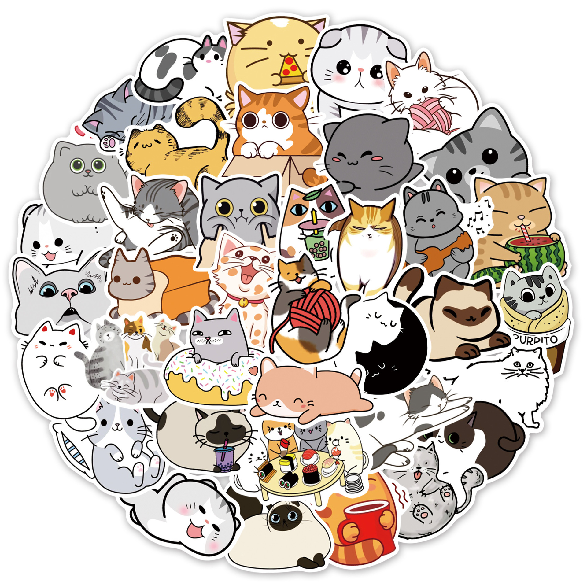 かわいい猫