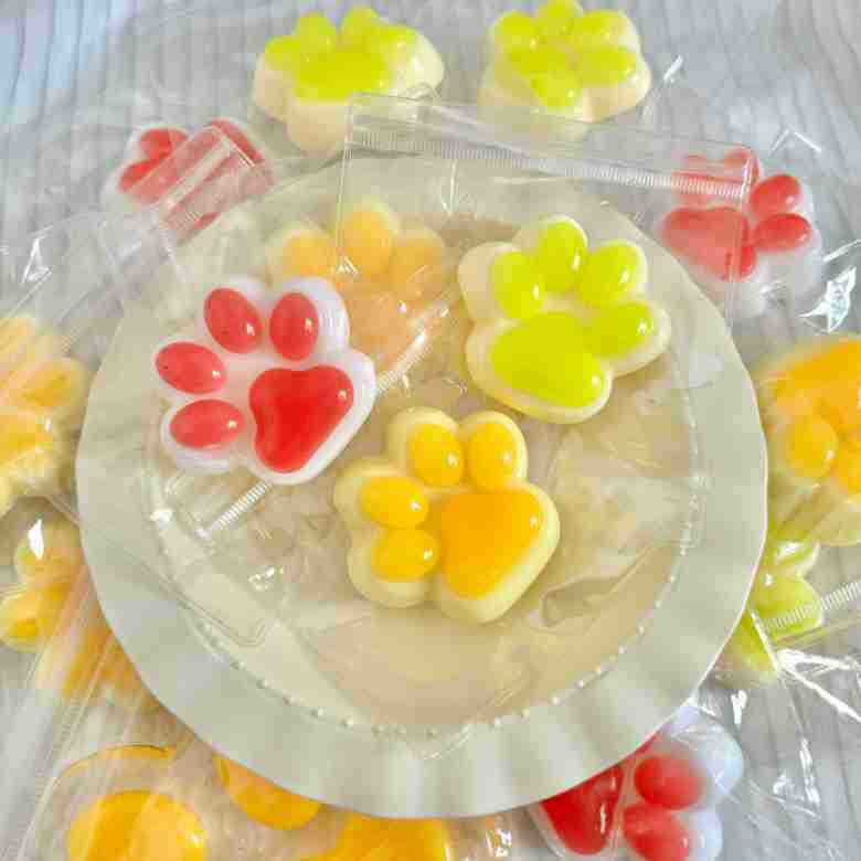 チンティ猫の爪