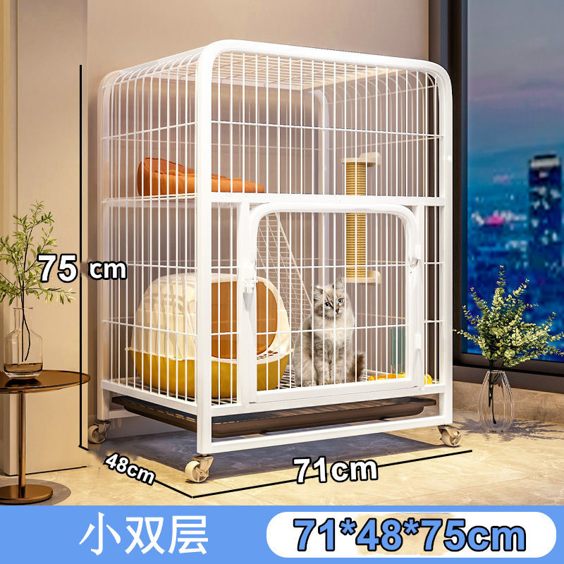 太字/白小二重 71×48×75