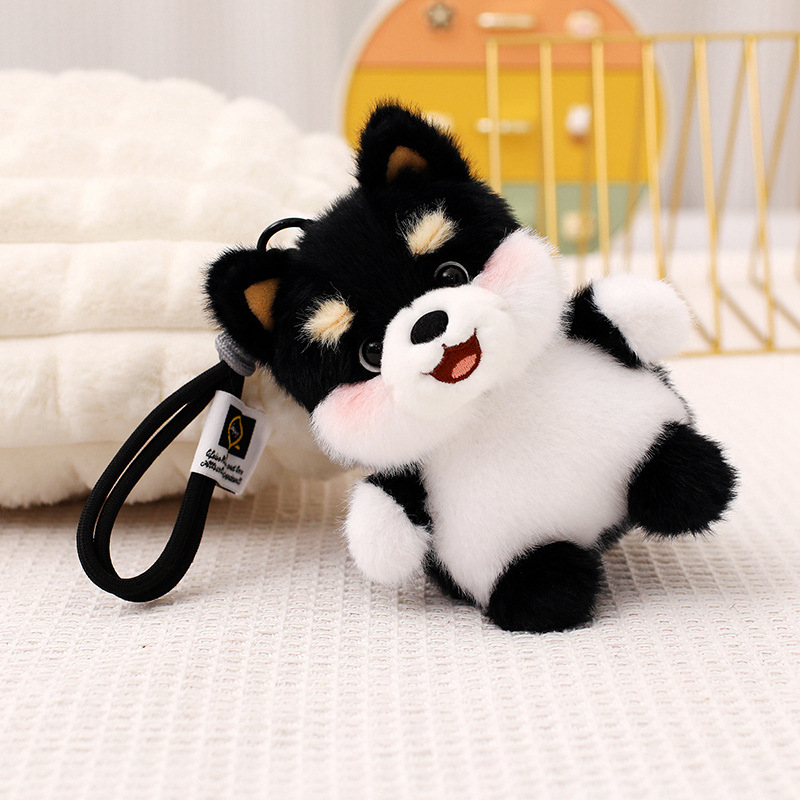 黒の柴犬
