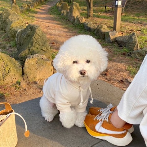 Isnベージュ