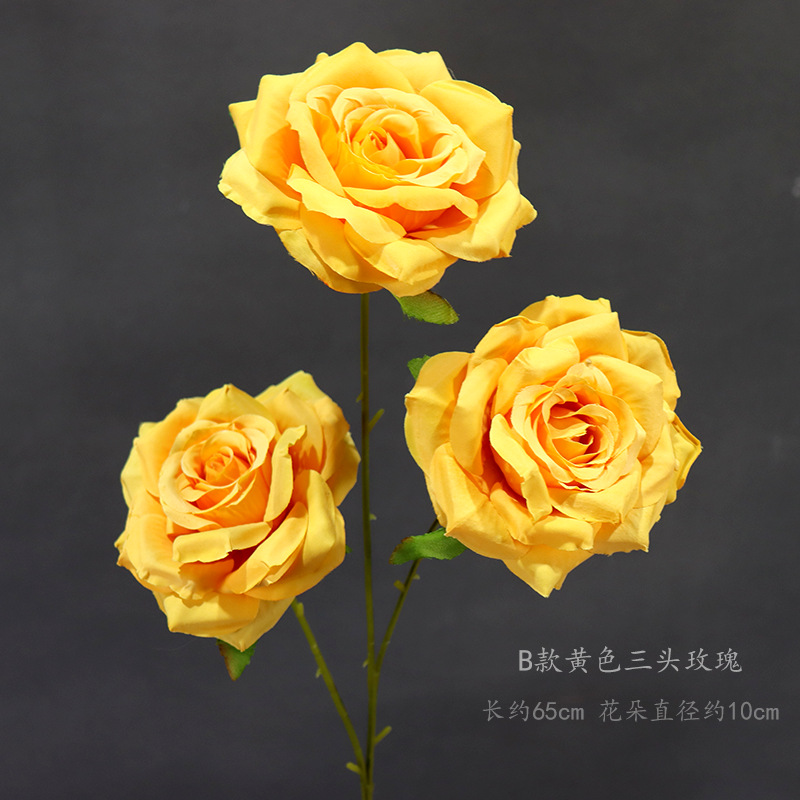 B型黄色三頭薔薇