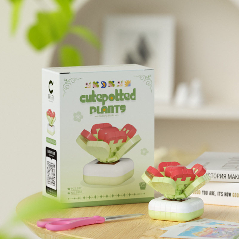 多肉植物-Tangji 187個