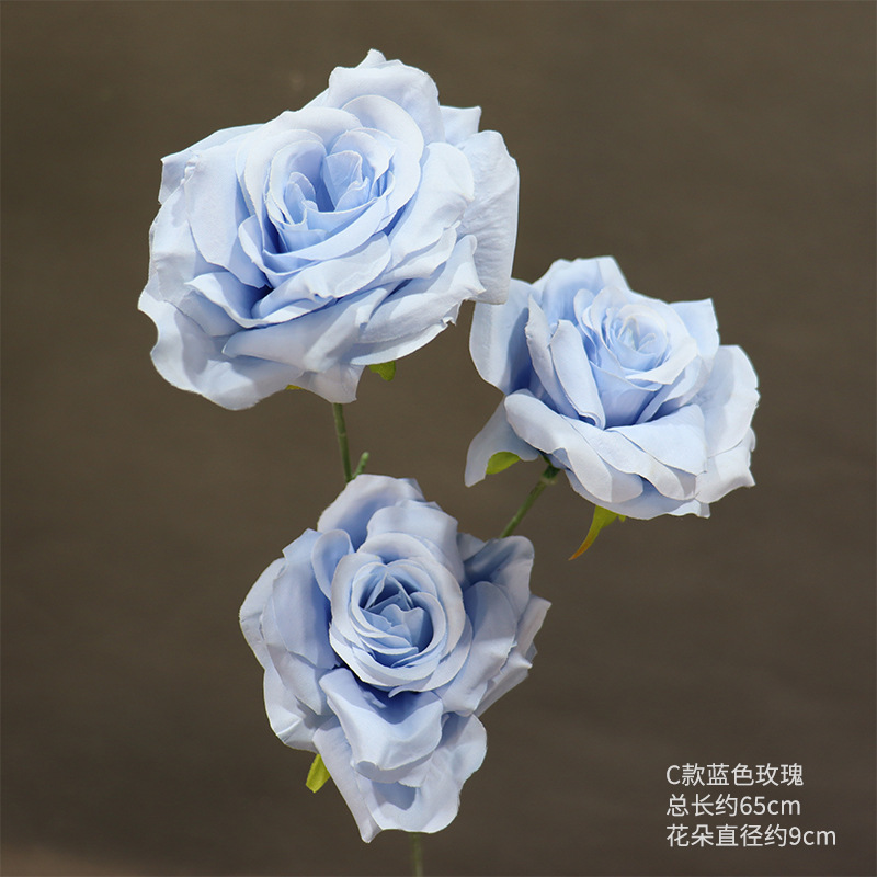Cタイプの青い3つのバラの1本