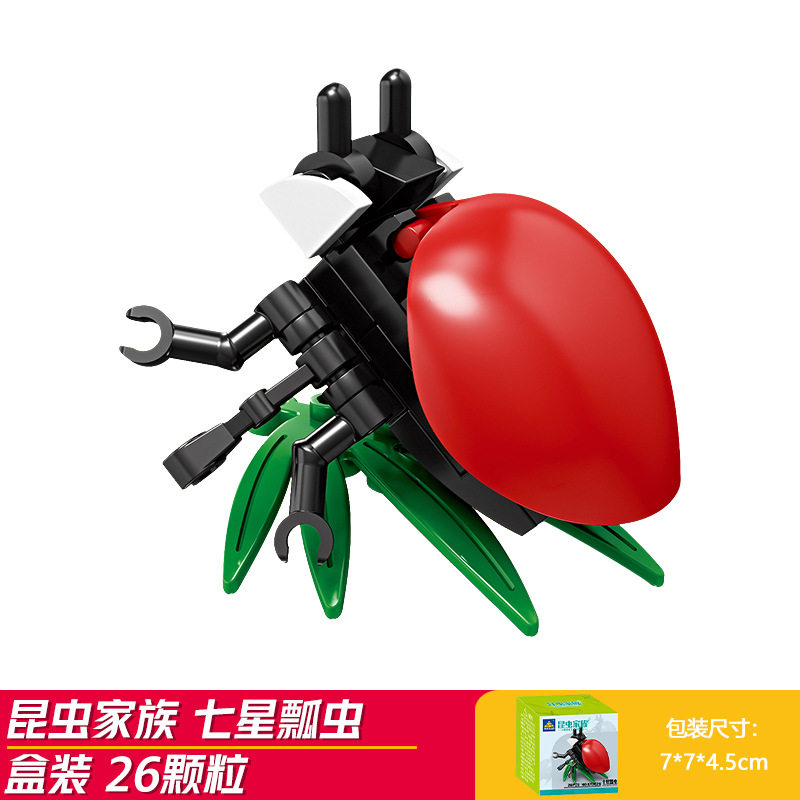 ナナホシテントウ (開智2026)